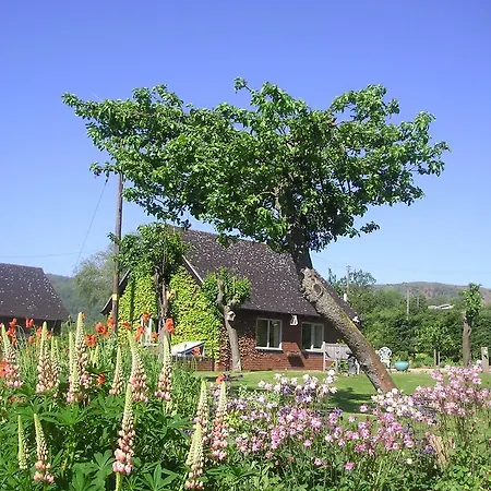 Myrtleberry Studio Bnb Castlemorton Экстерьер фото