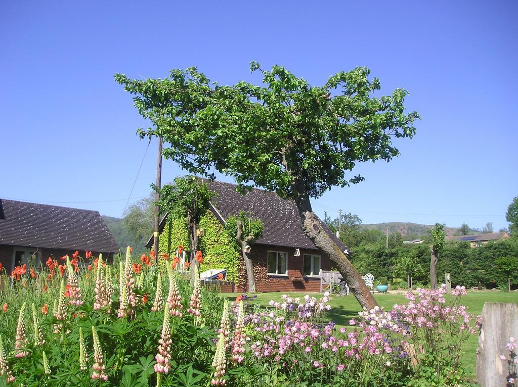 Apartamento Myrtleberry Castlemorton